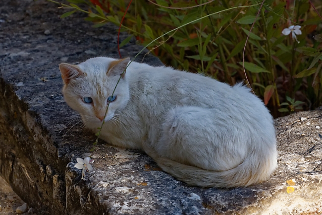 Famille et amis-SEP15-029